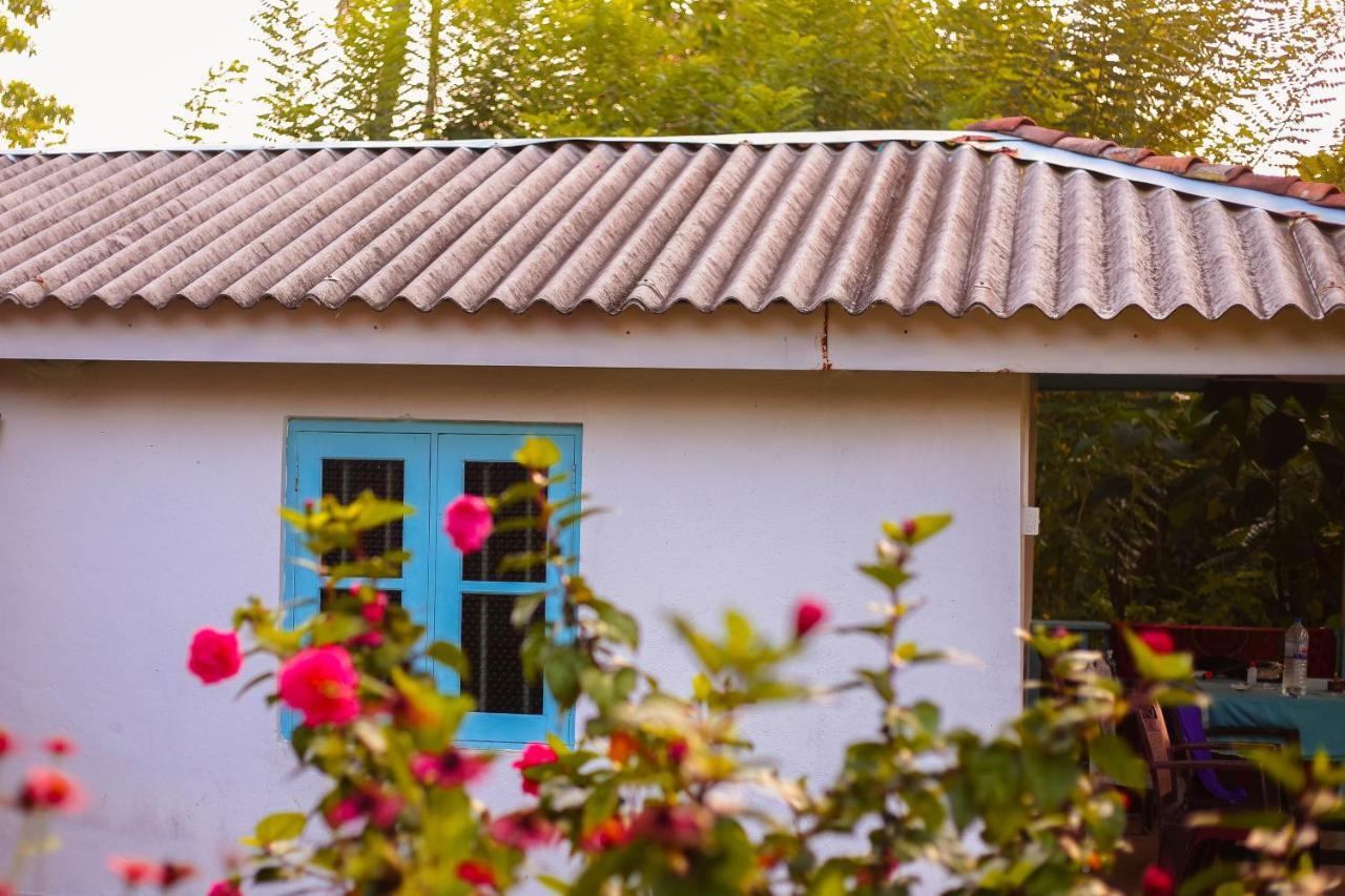 Tehan Homestay Dickwella Exterior foto