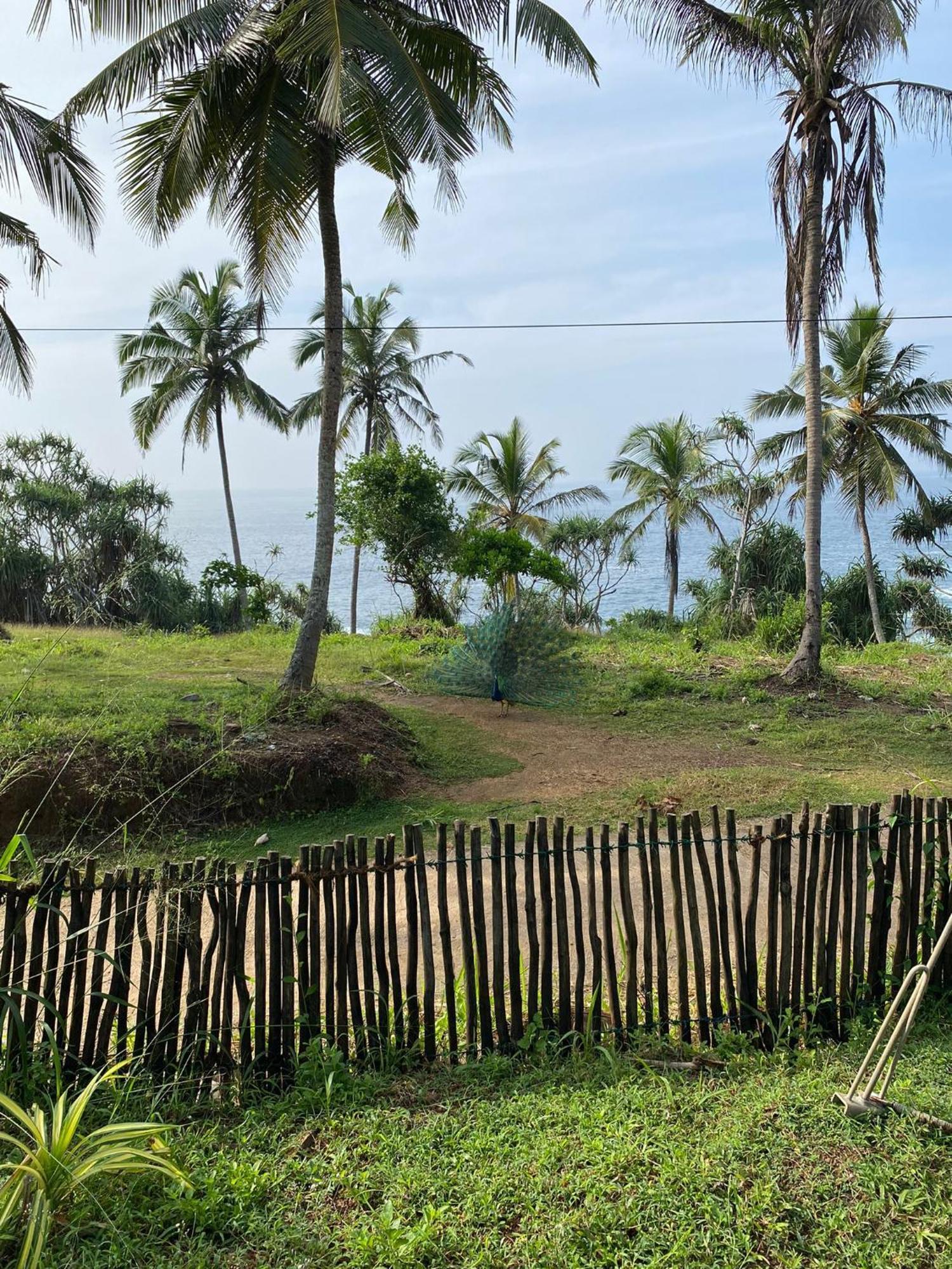 Tehan Homestay Dickwella Quarto foto