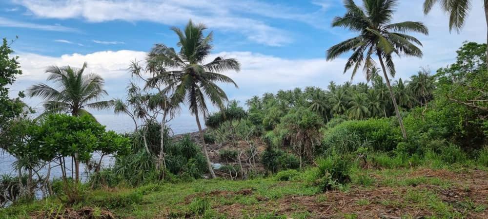 Tehan Homestay Dickwella Quarto foto