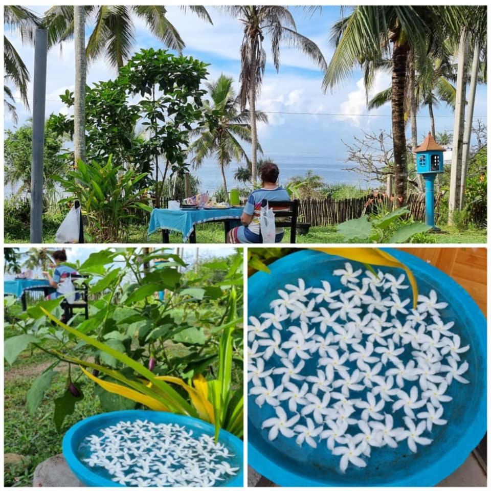 Tehan Homestay Dickwella Quarto foto